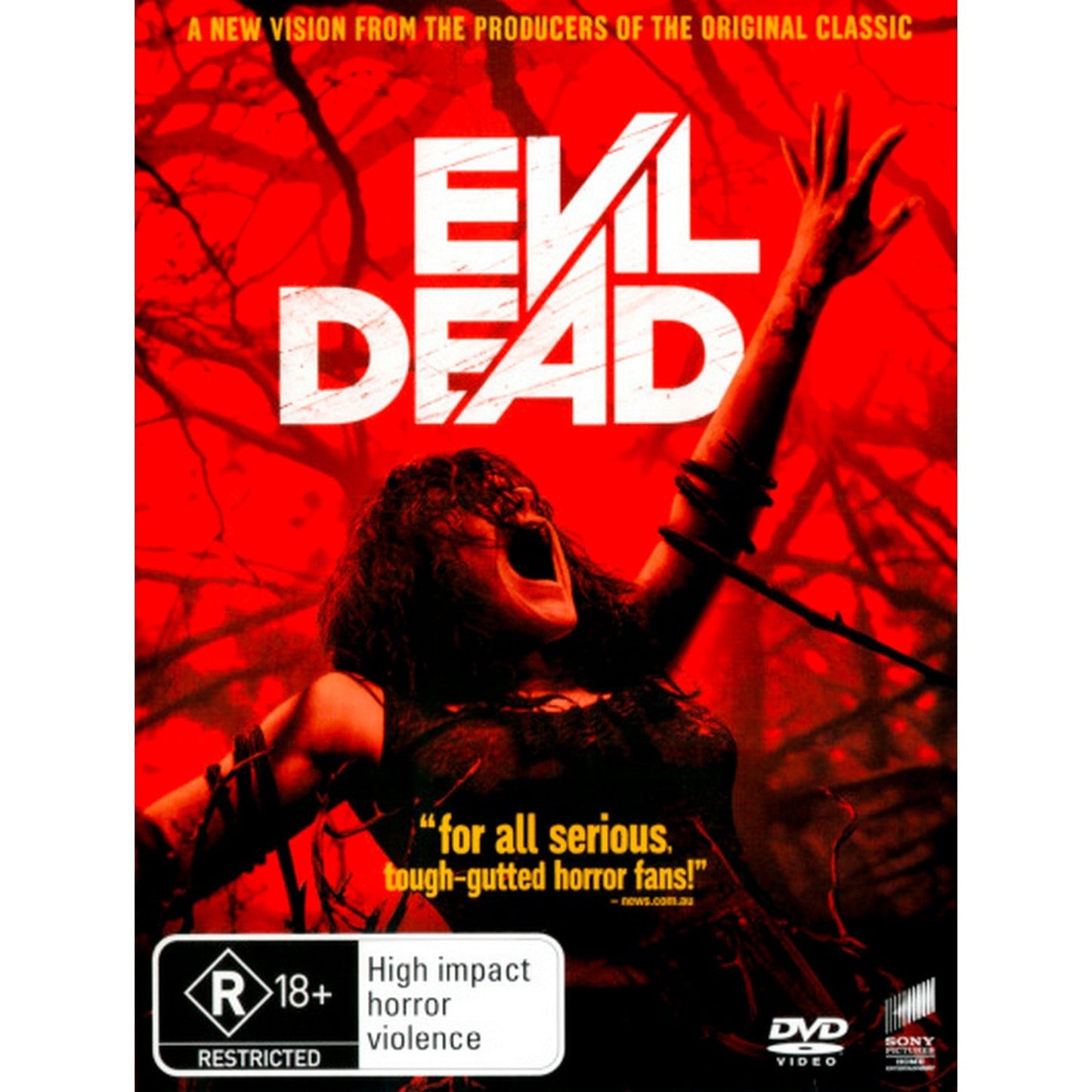 Evil Dead (2013) DVD