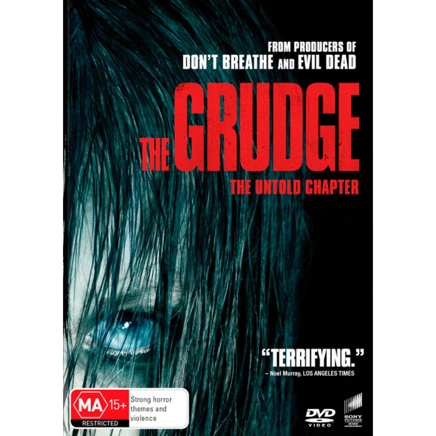 The Grudge: The Untold Chapter (2020) DVD