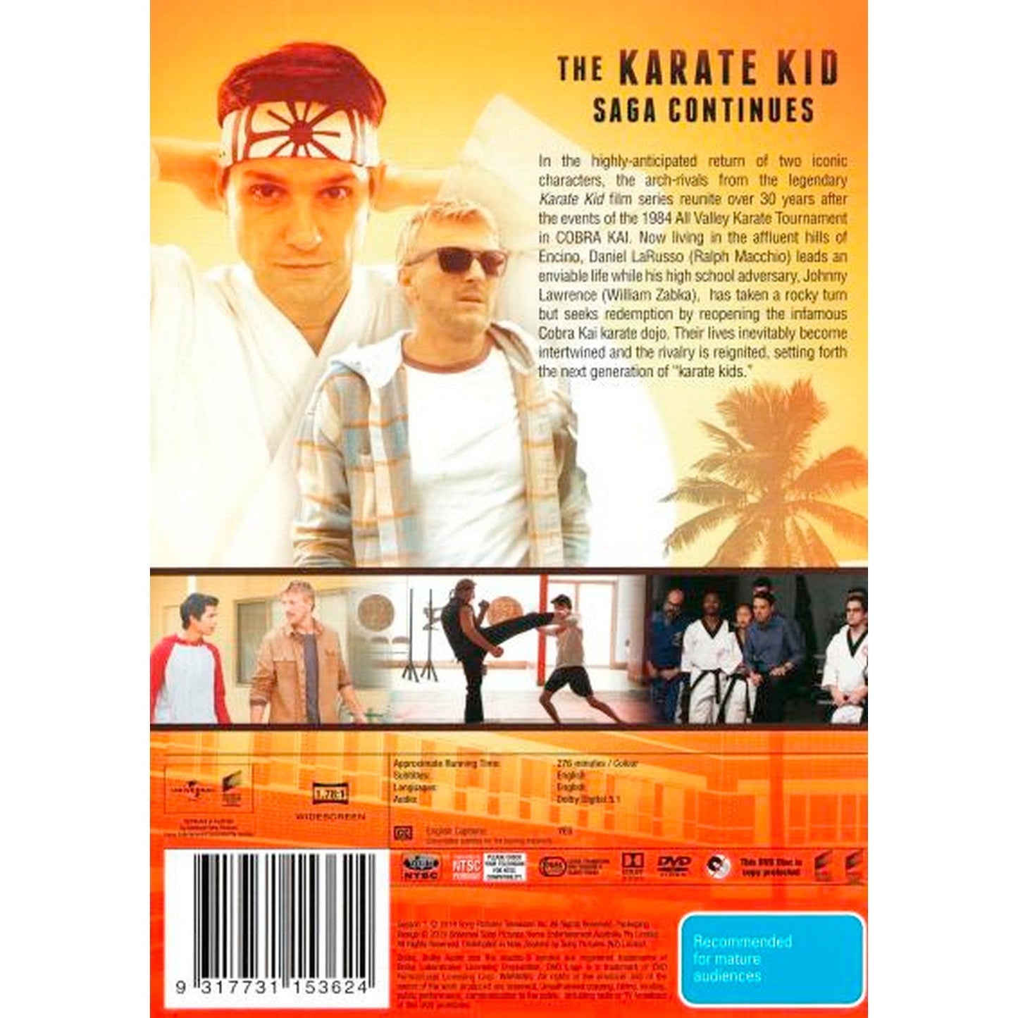 Cobra Kai: Season 1 DVD