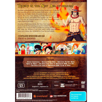 One Piece Voyage: Collection 11 DVD