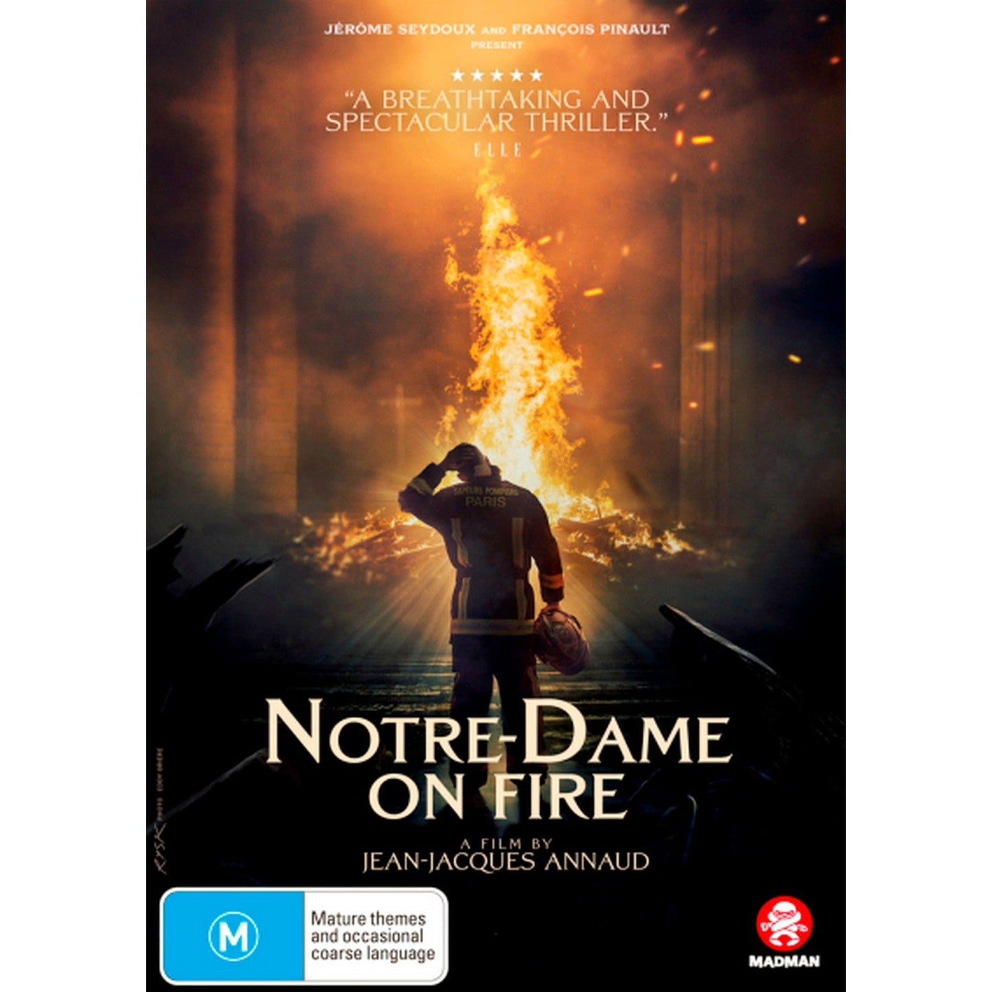 Notre-Dame on Fire DVD