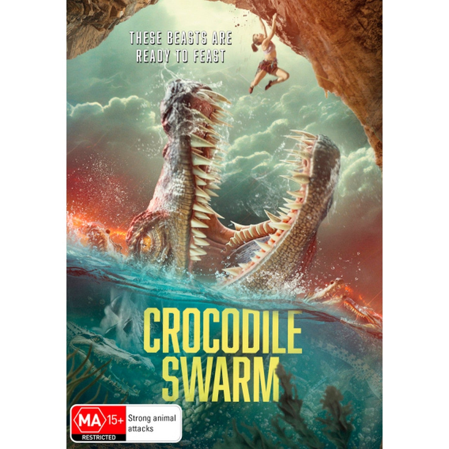 Crocodile Swarm DVD