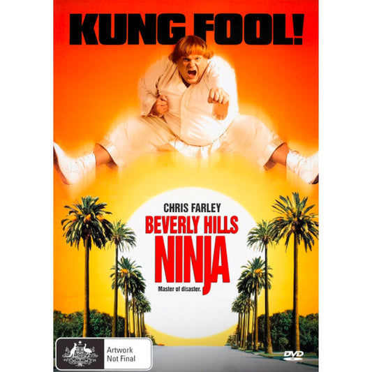 Beverly Hills Ninja DVD