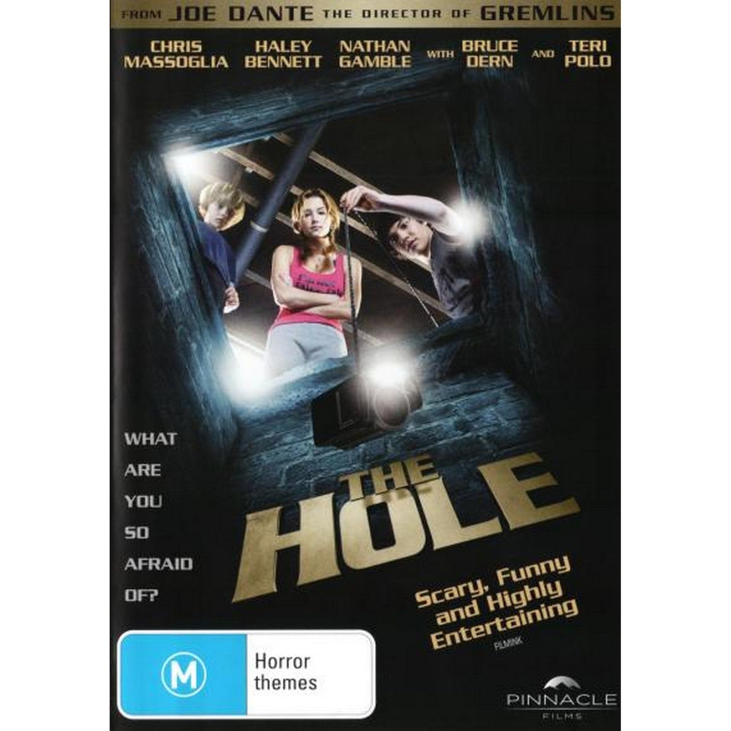 The Hole  DVD