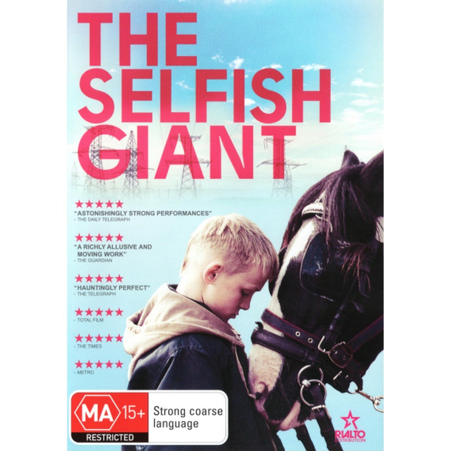 The Selfish Giant DVD