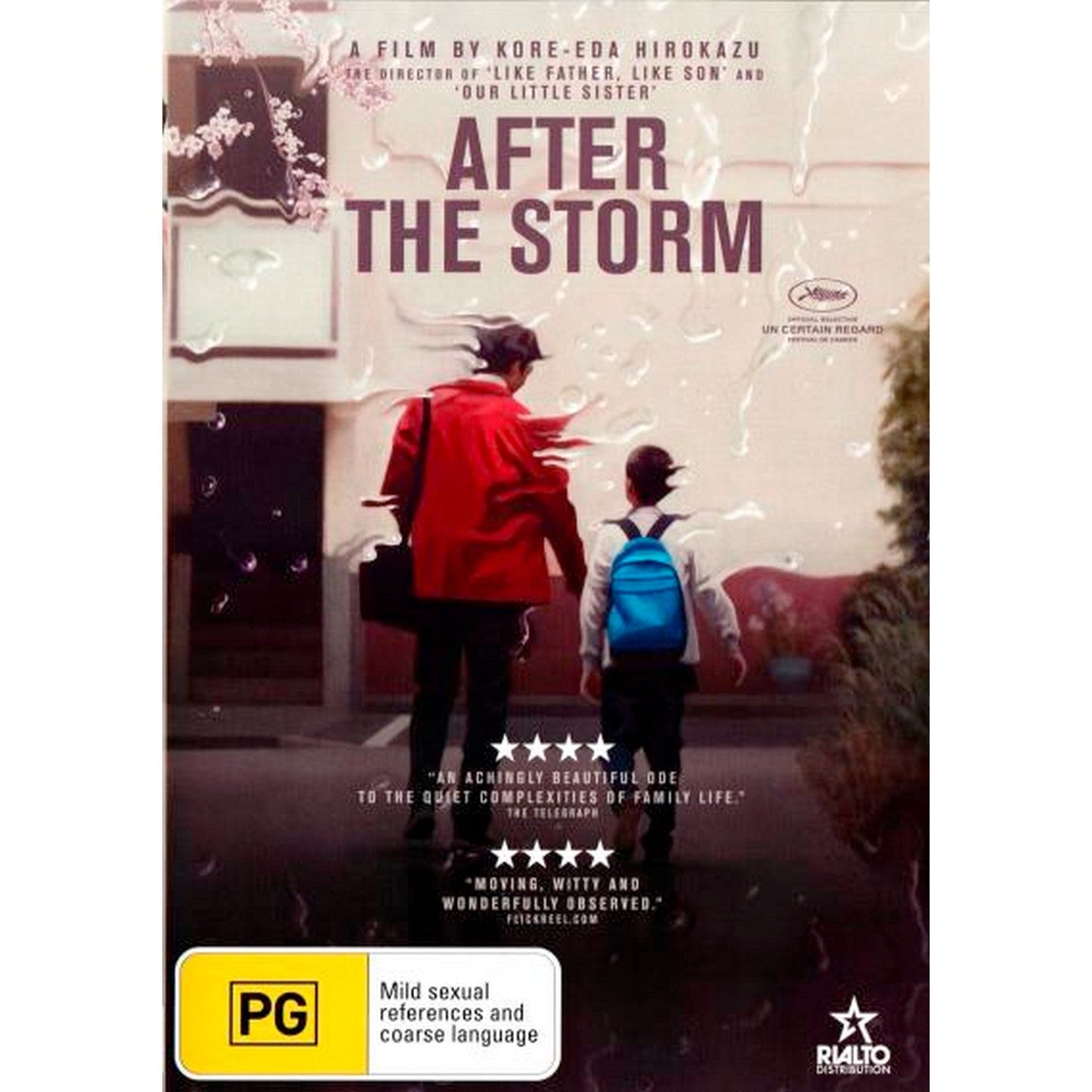 After the Storm DVD