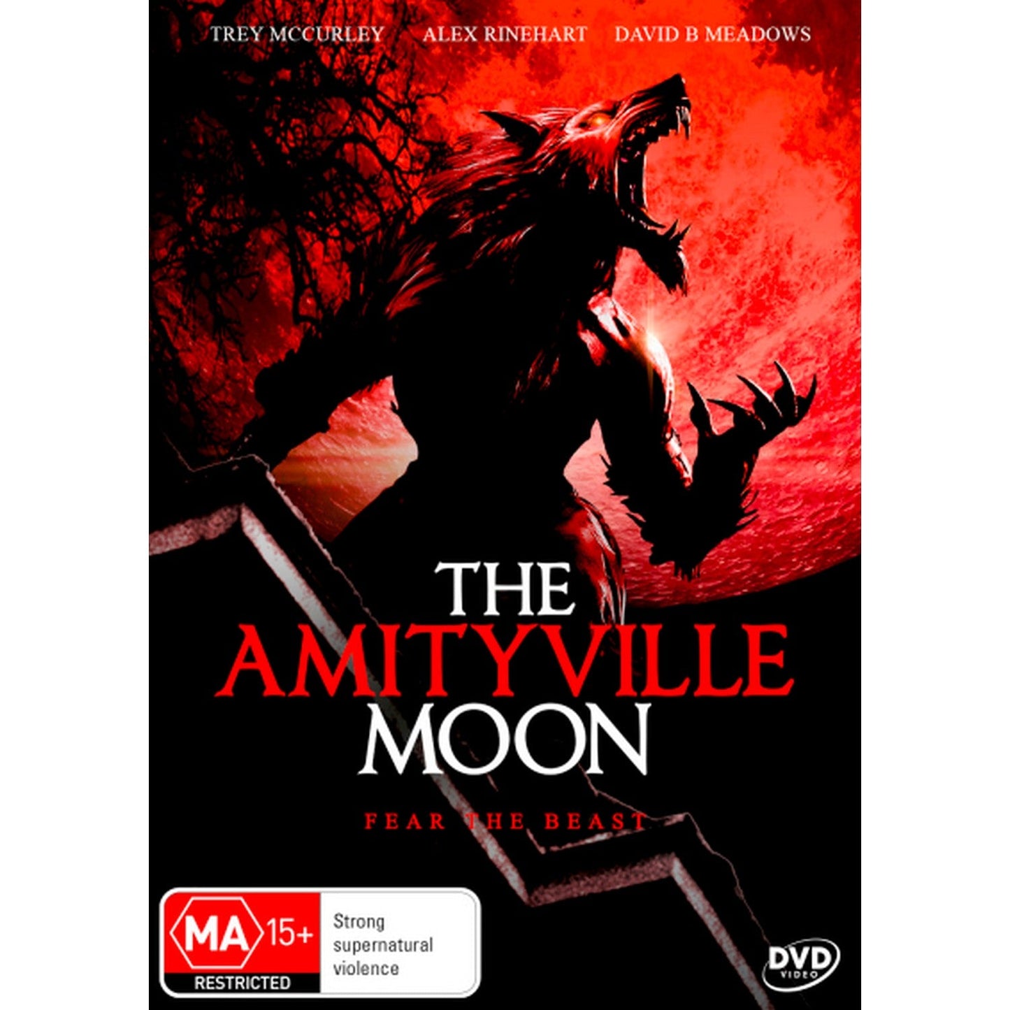 The Amityville Moon DVD